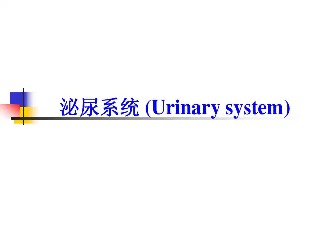 核医学-泌尿系统