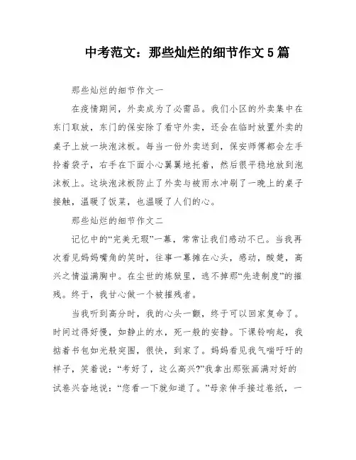 中考范文：那些灿烂的细节作文5篇