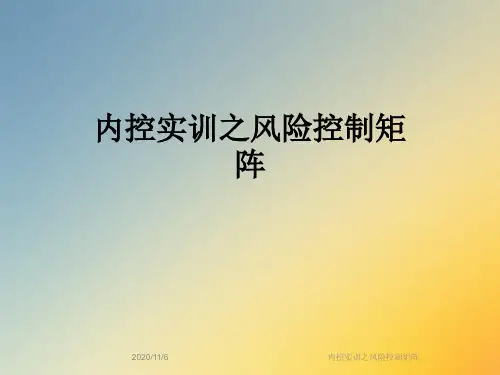 内控实训之风险控制矩阵