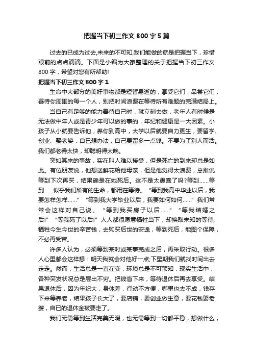 把握当下初三作文800字5篇