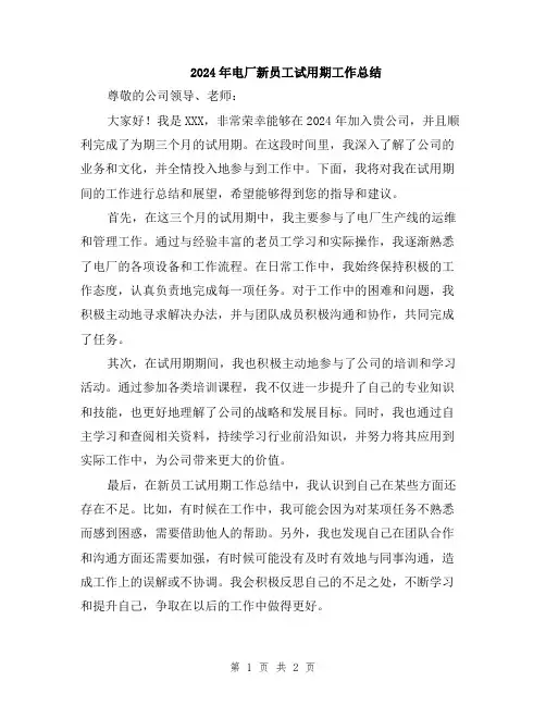 2024年电厂新员工试用期工作总结