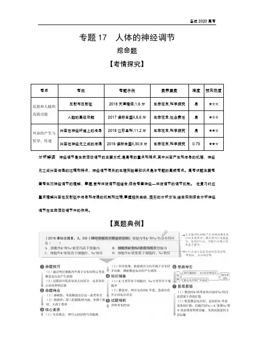 2020年高考山东版高考生物     专题17 人体的神经调节