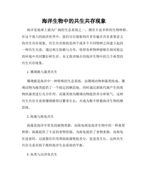 海洋生物中的共生共存现象