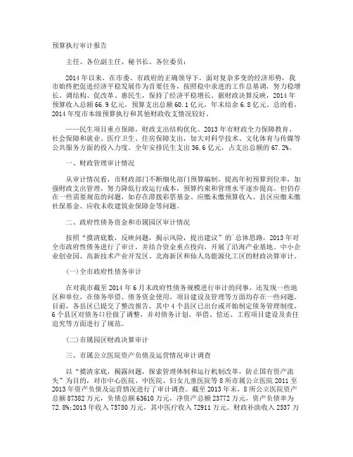 预算执行审计报告