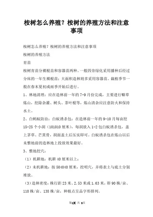 桉树怎么养殖？桉树的养殖方法和注意事项
