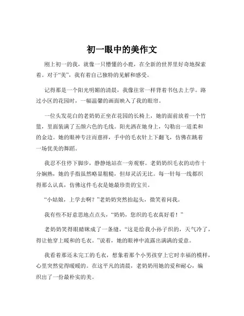 初一眼中的美作文