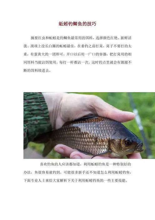 蚯蚓钓鲫鱼的技巧