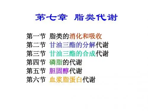 生物化学之脂类代谢