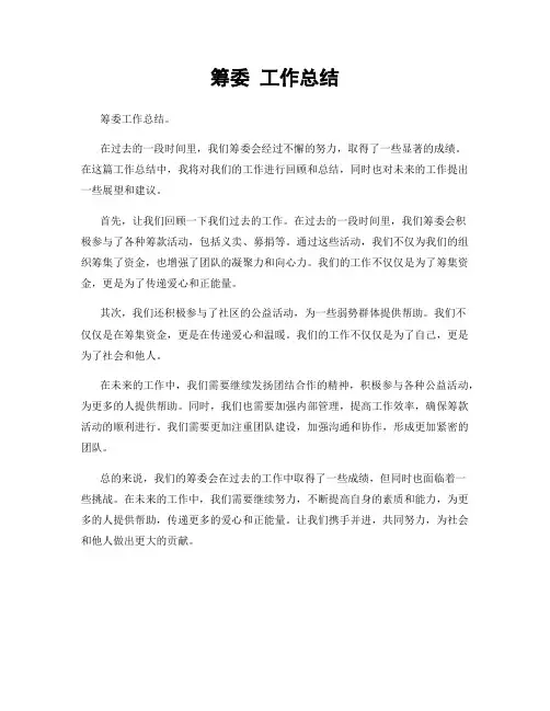 筹委 工作总结