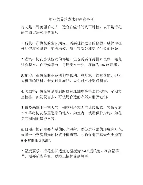 梅花的养殖方法和注意事项