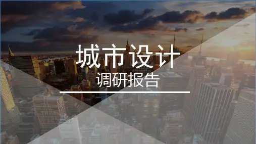 成都典型商圈调研报告