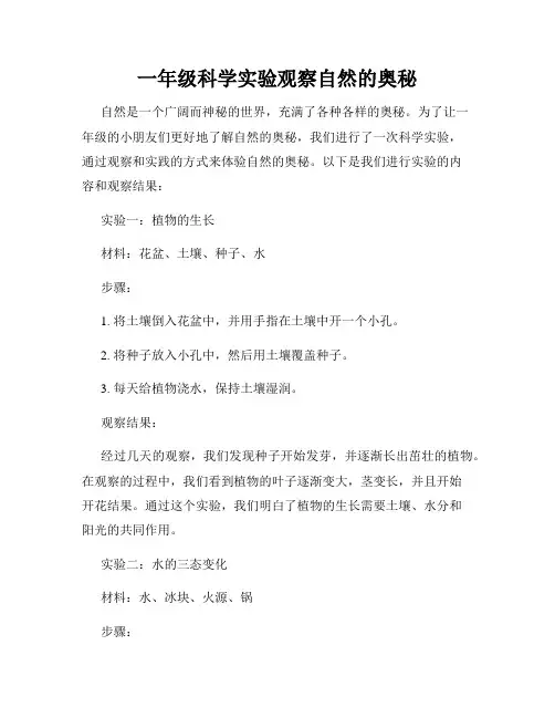 一年级科学实验观察自然的奥秘