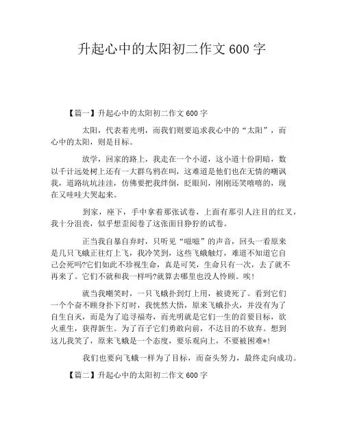 升起心中的太阳初二作文600字