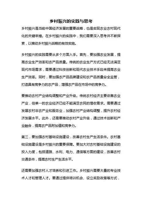 乡村振兴的实践与思考