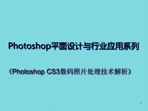 Photoshop CS数码照片处理技术解析电子教案8(共9张PPT)