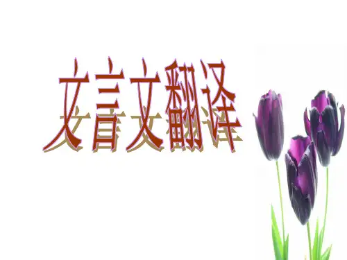 文言文翻译 PPT课件