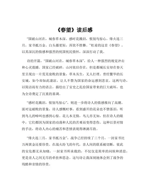 《春望》读后感