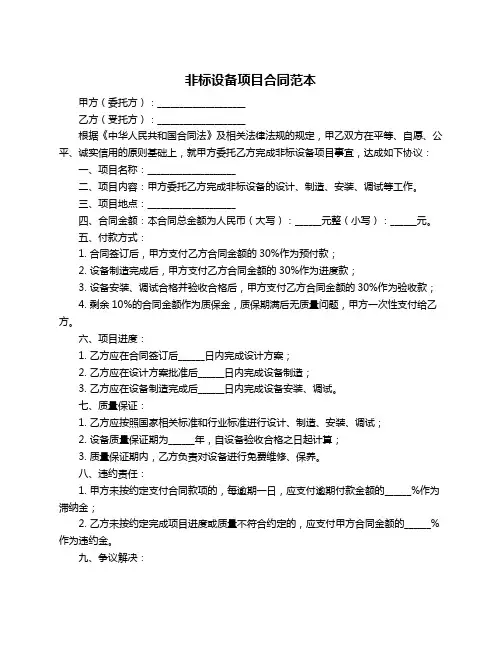 非标设备项目合同范本