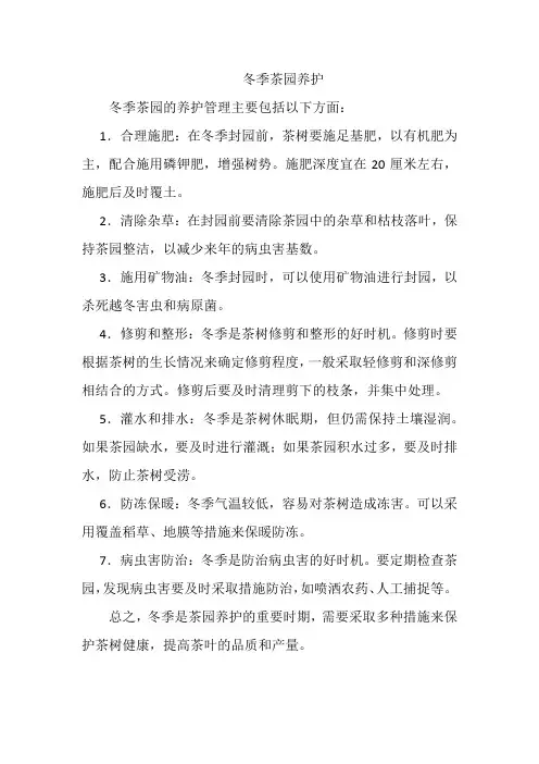 冬季茶园养护