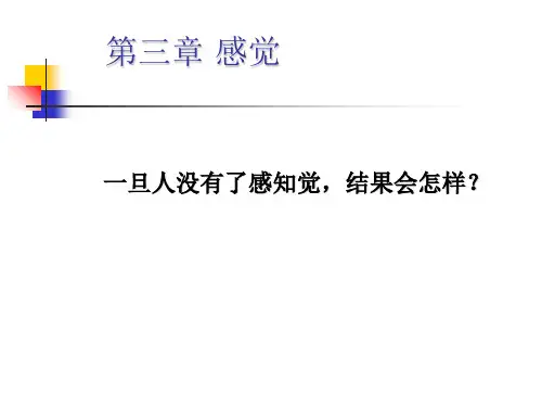 普通心理学第34章感觉与知觉课件(1)