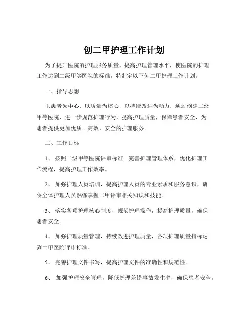 创二甲护理工作计划