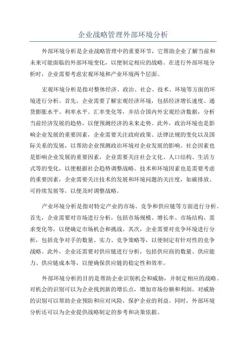 企业战略管理外部环境分析