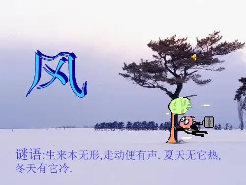 风PPT课件(初中科学)