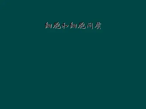 细胞和细胞间质