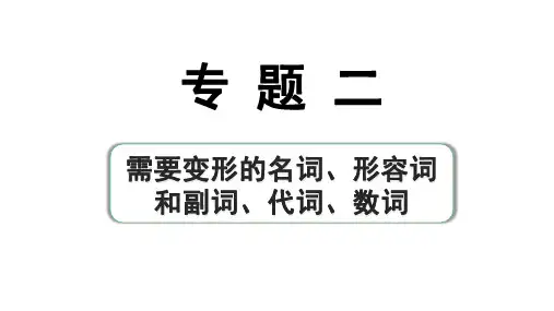 2024杭州中考英语二轮复习 专题二 第1讲 名词(课件)
