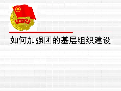 如何加强团的基层组织建设