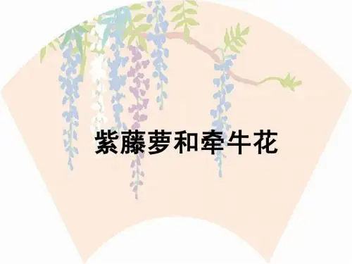 紫藤萝和牵牛花考试作文讲评及佳作赏析