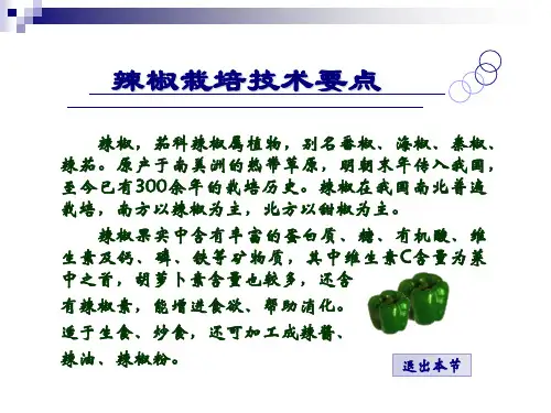 辣椒栽培技术要点