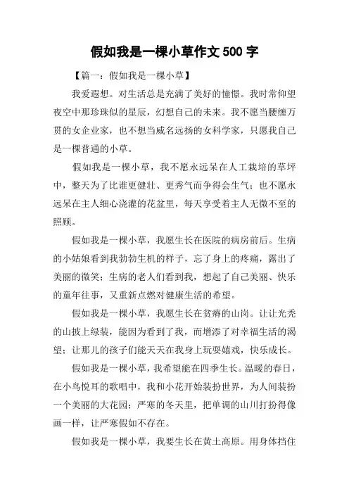 假如我是一棵小草作文500字