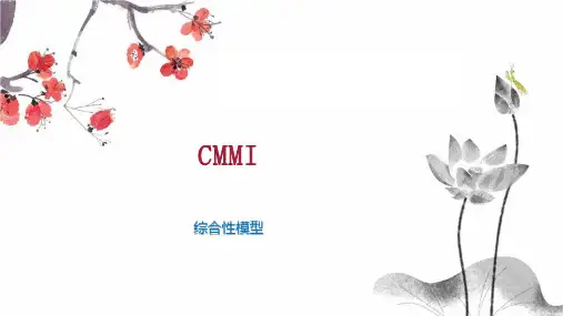 CMMI    