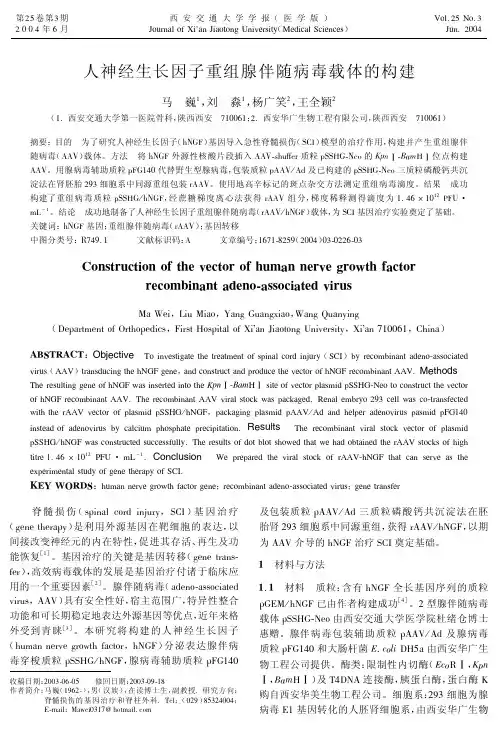 人神经生长因子重组腺伴随病毒载体的构建
