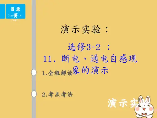 高考物理总复习演示实验15_3_11断电、通电自感现象的演示课件