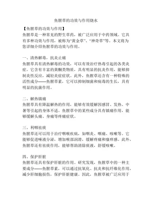 鱼腥草的功效与作用烧水