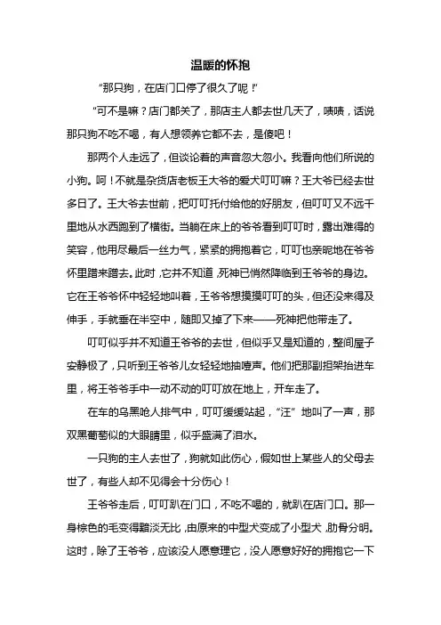 六年级作文:温暖的怀抱作文600字
