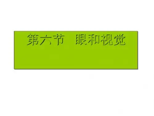 眼和视觉ppt1 浙教版