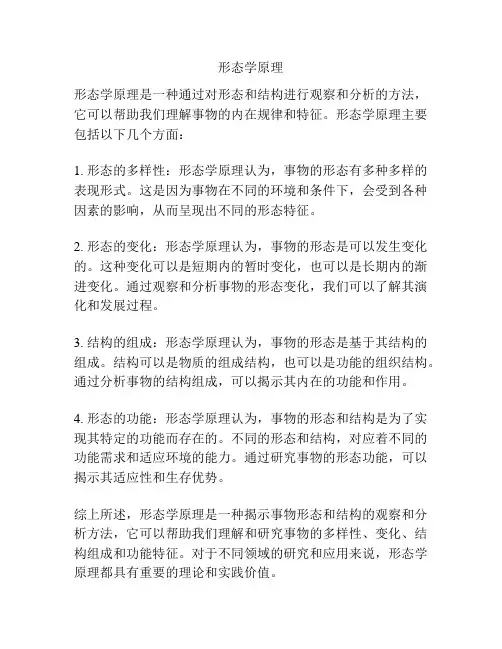 形态学原理