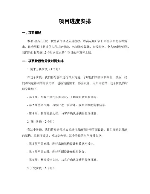项目进度安排