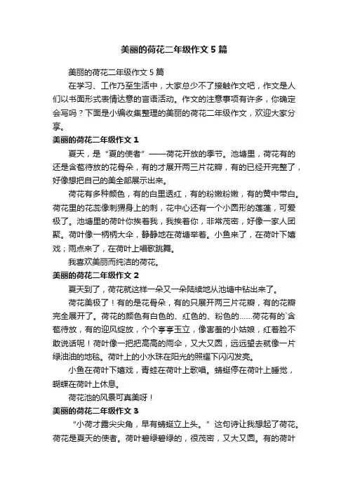 美丽的荷花二年级作文5篇