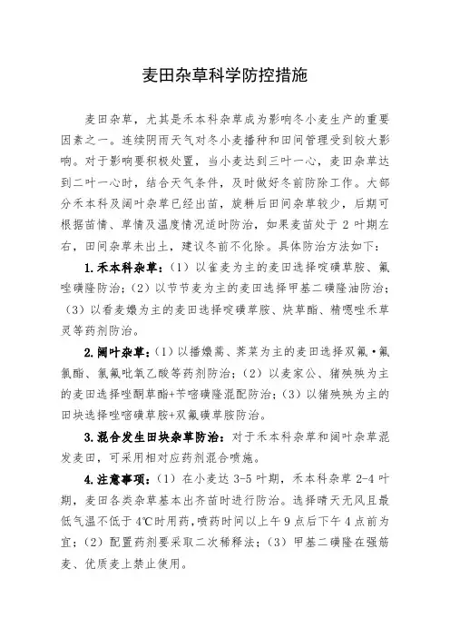 小麦田杂草科学防控措施
