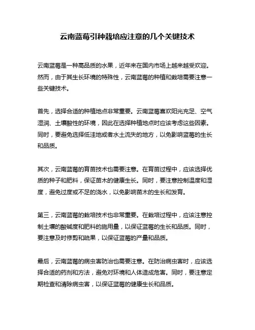 云南蓝莓引种栽培应注意的几个关键技术