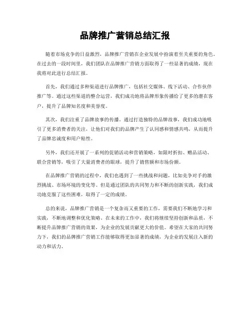 品牌推广营销总结汇报