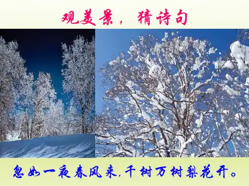 诗歌鉴赏之景物描写ppt课件