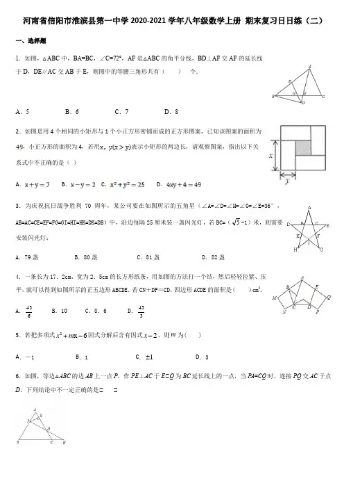 河南省信阳市淮滨县第一中学2020-2021学年八年级数学上册 期末复习日日练(二)