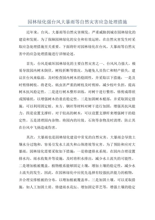 园林绿化强台风大暴雨等自然灾害应急处理措施