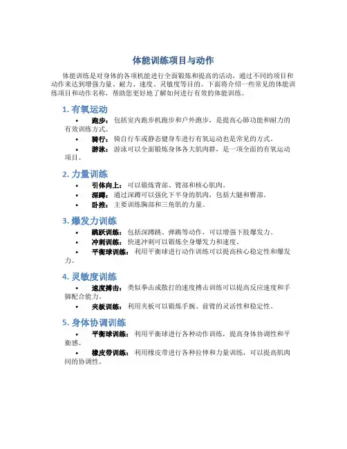 体能训练有哪些项目和动作名称呢