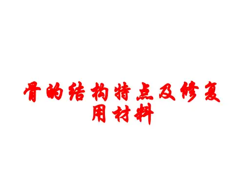 骨的结构特点及修复用材料